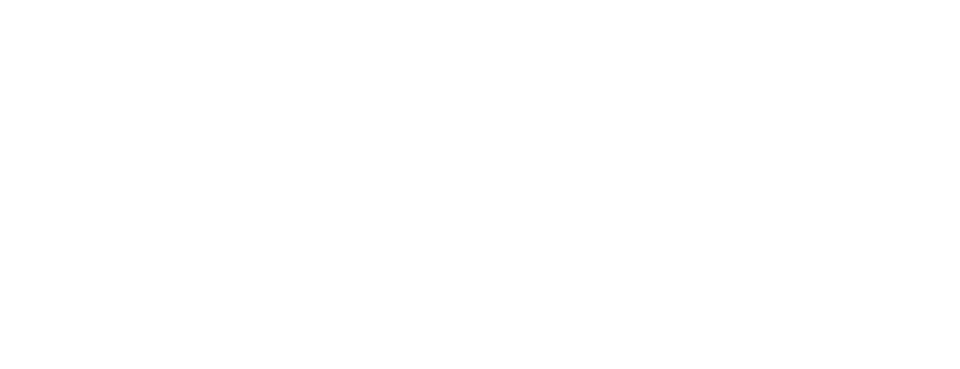 MP2S Logo
